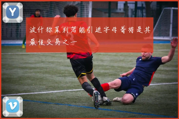 波什称莱利若能引进字母哥将是其最佳交易之一